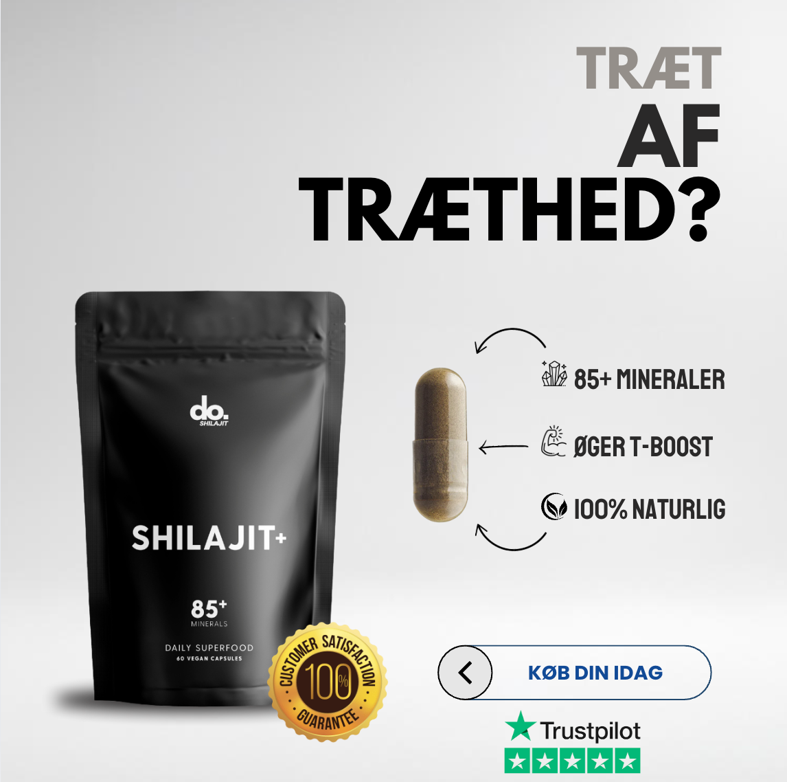 SHILAJIT CAPSULES PREMIUM