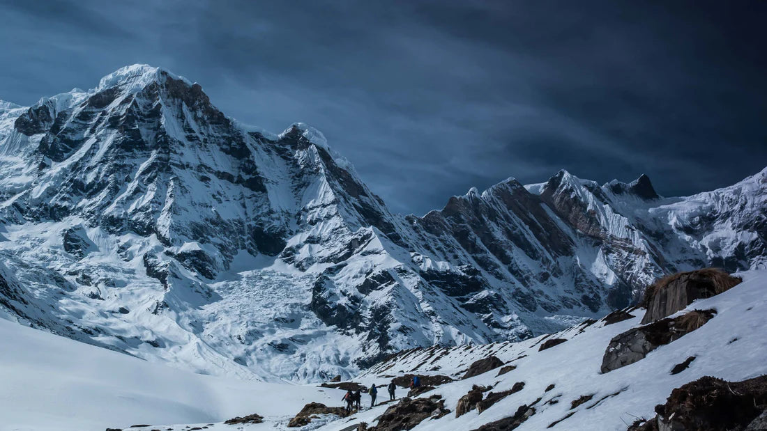 Himalayan Shilajit – En naturlig ressource til dit velvære