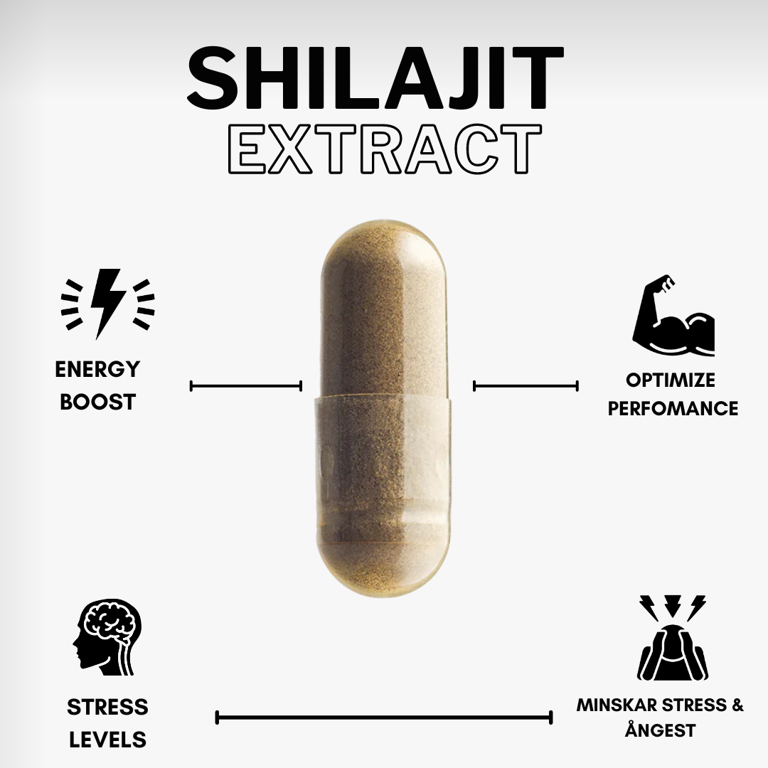 SHILAJIT KAPSLAR